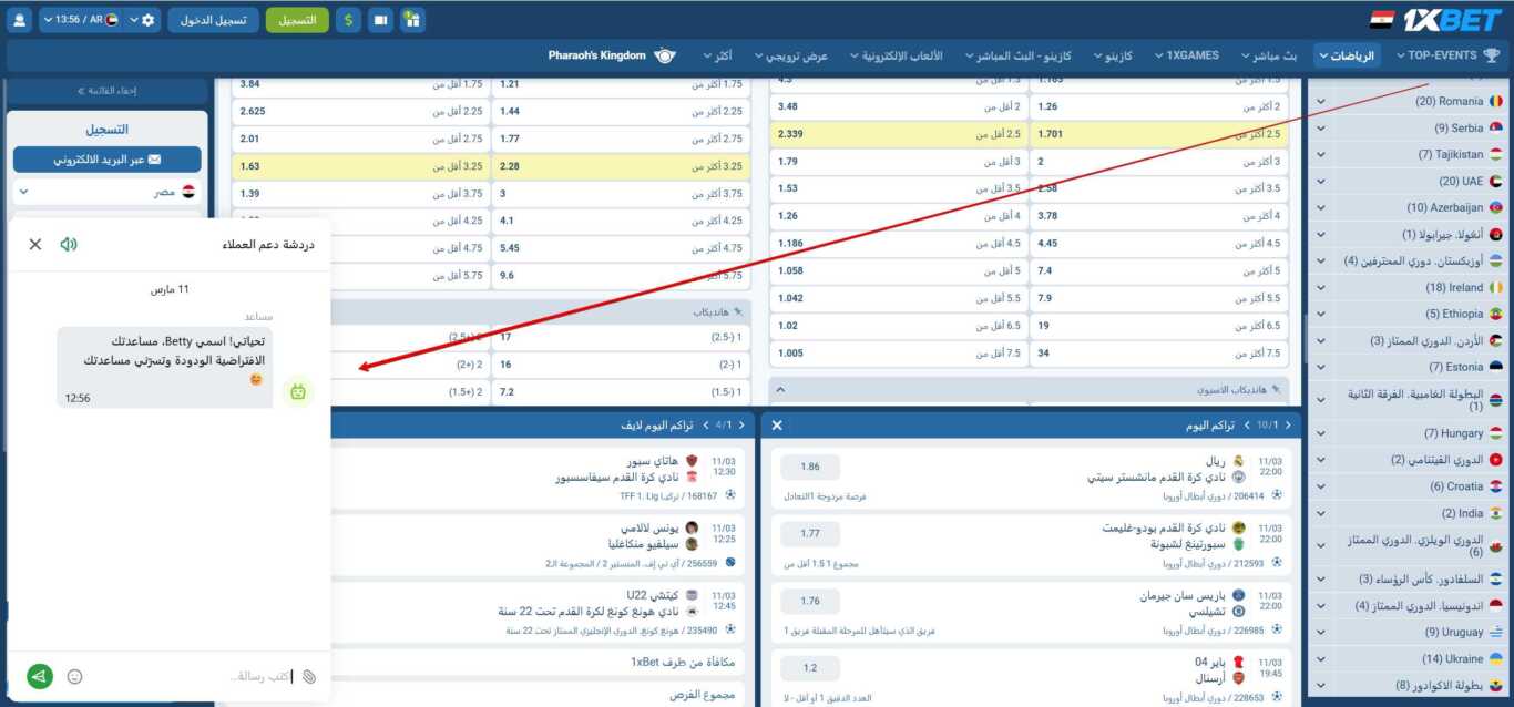 خدمة دعم 1xBet في مصر